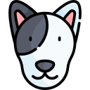 bull terrier icon