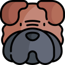 shar pei icon