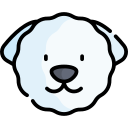 bichón frisé icon