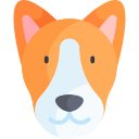 basenji 