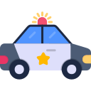 coche de policía 