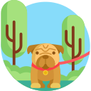 mascotas icon