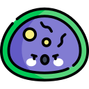 virus icon