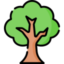 Árbol icon