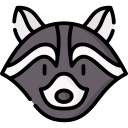 mapache icon