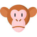 chimpance icon