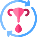 ciclo menstrual icon