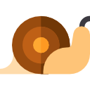 caracol icon