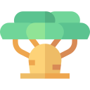 baobab icon