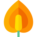 anturio icon