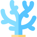 coral icon