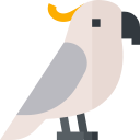 cacatúa icon