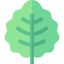 hoja tropical icon