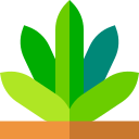 agave icon