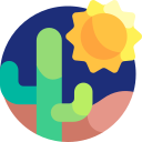 cactus icon