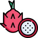 dragon de fruta icon