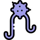 bacterias icon