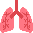 pulmones icon