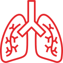 pulmones icon