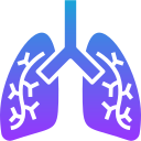 pulmones