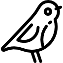 pájaro icon