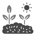 plantación icon