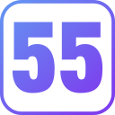 55 