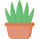 aloe vera icon