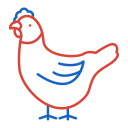 pollo icon