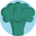 Broccoli icon
