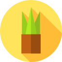 maceta icon