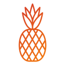 piña icon