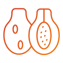 papaya icon