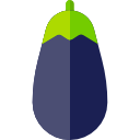 berenjena icon