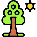 Árbol