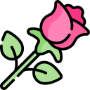 rosa icon