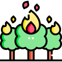 incendio forestal icon