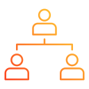 estructura de organización