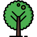 Árbol icon