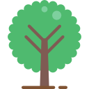 Árbol icon