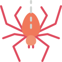 araña icon