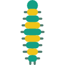 oruga icon