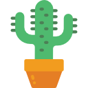 cactus icon