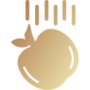 manzana icon