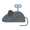 ratón