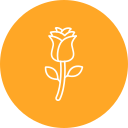 rosa icon