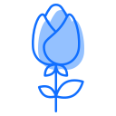 rosa icon