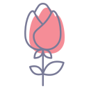 rosa icon