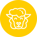 cara de ovelha 