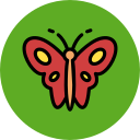 mariposa icon